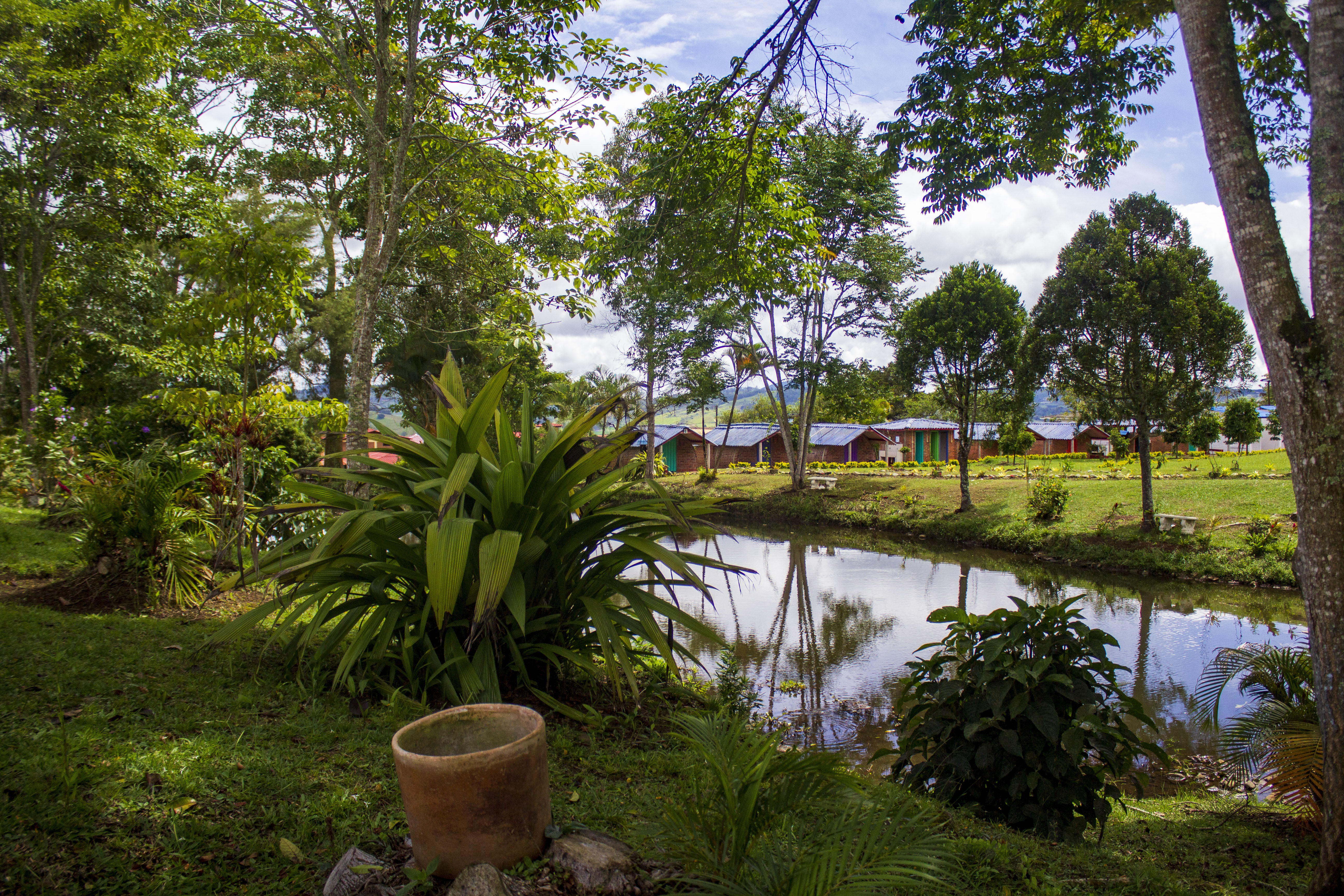 Restaurante con Vista